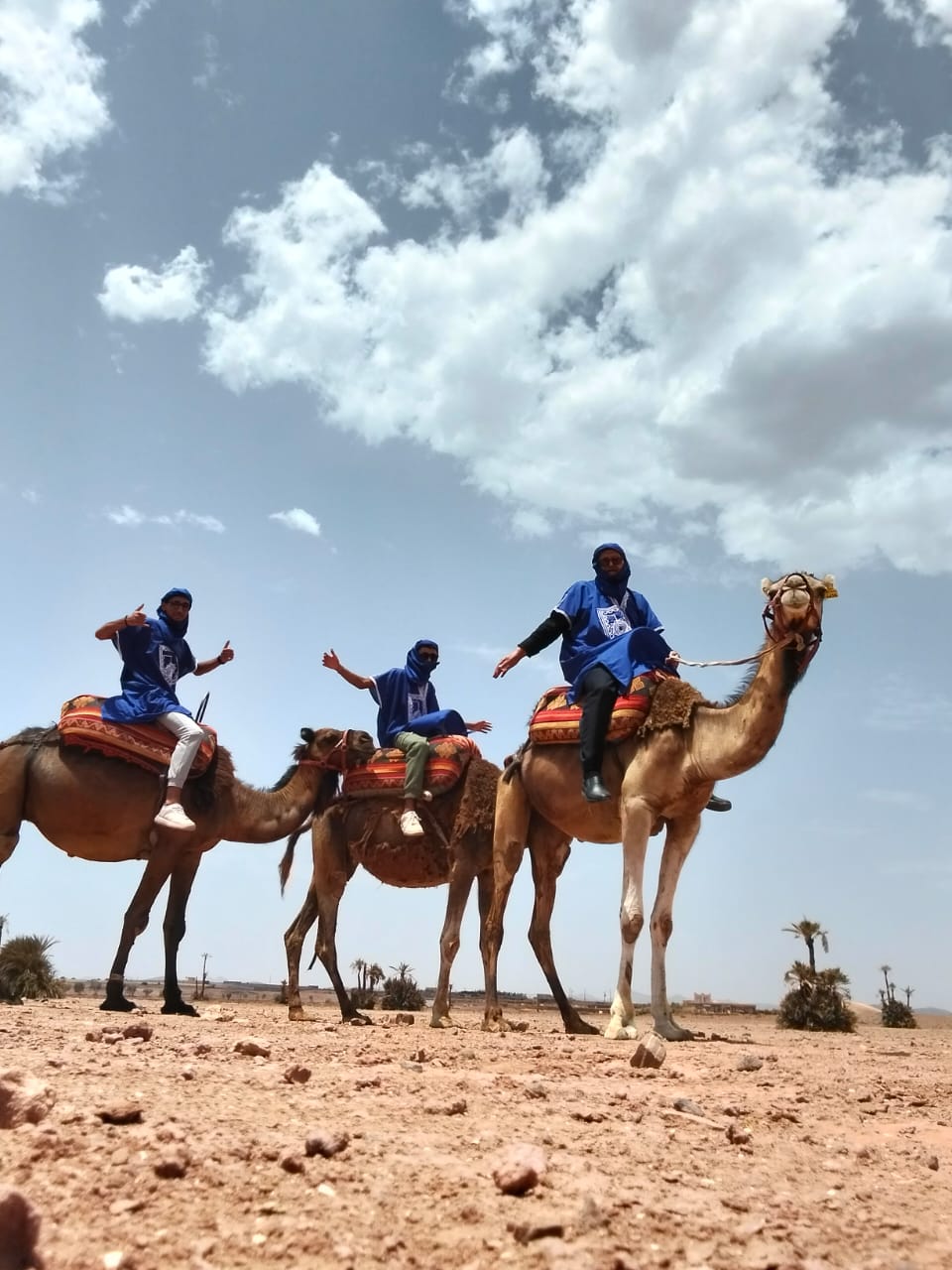 Marrakech Palmeraie Camel Trek Experience - Image 4